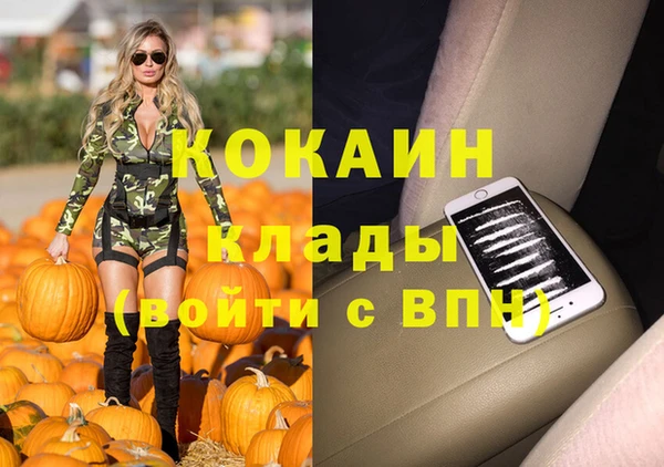 прущие грибы Аркадак