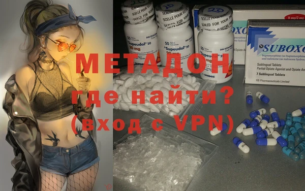 прущие грибы Аркадак