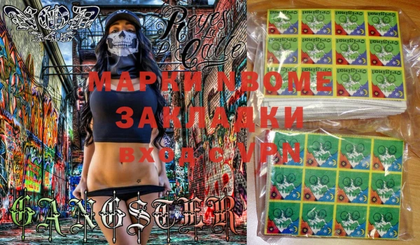 прущие грибы Аркадак