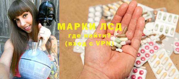 прущие грибы Аркадак