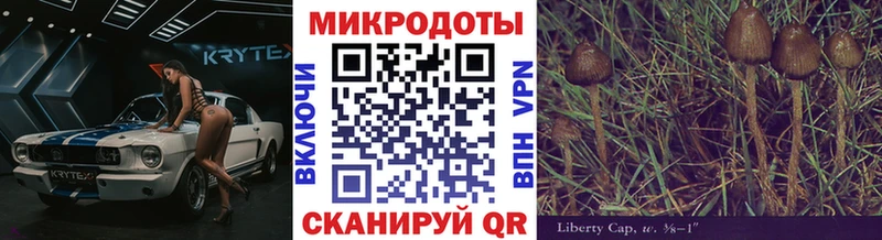 Галлюциногенные грибы мухоморы  купить наркоту  Бологое 